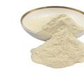 Bifidobacterium infantis powder factory price best probiotic products wholesale for EU